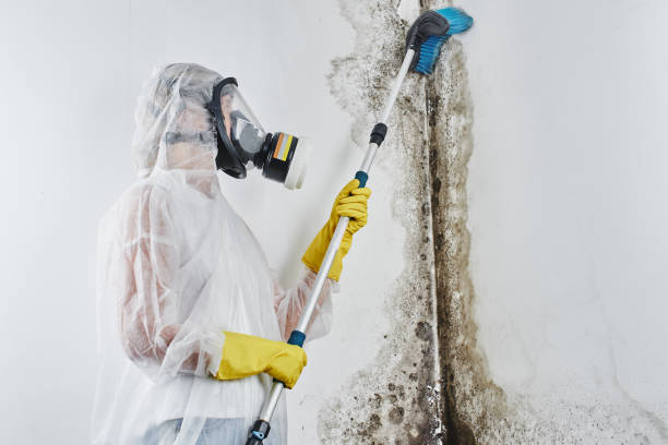 Sewage cleanup and water damage restoration